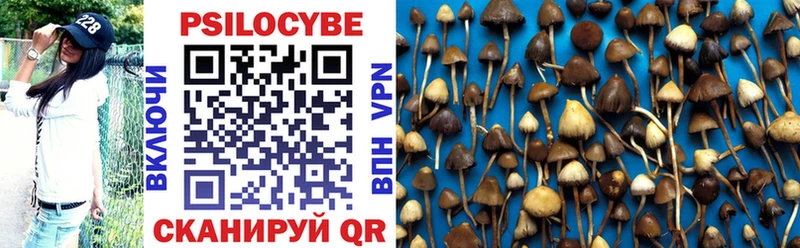 Псилоцибиновые грибы GOLDEN TEACHER  Гулькевичи 